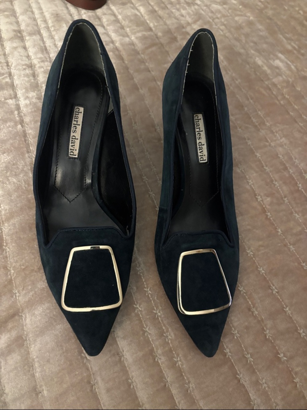 Charles David Navy Suede Pointed Pumps with Gold Accent